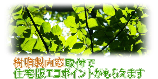 ������������t�ŏZ��ŃG�R�|�C���g�����炦�܂�